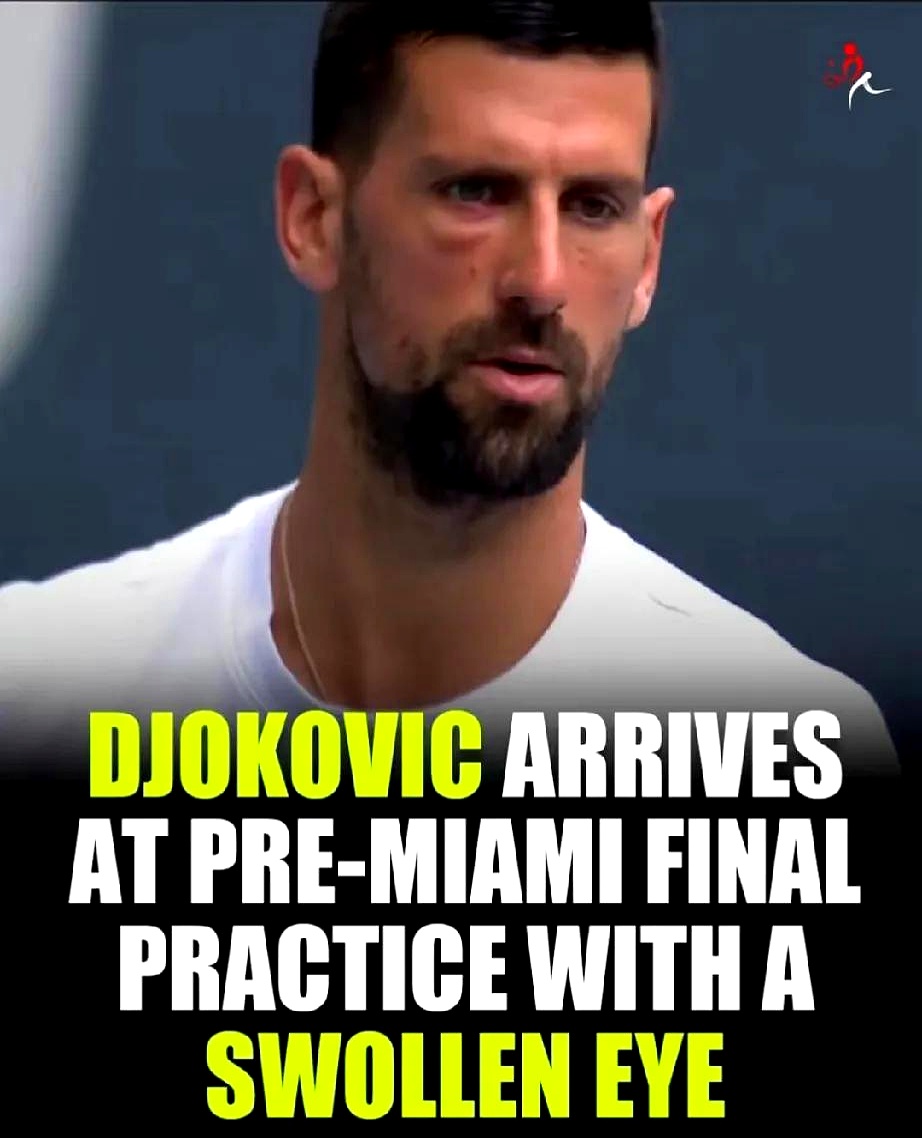 开云中国-德约科维奇遭遇七持续失利，阿森纳教练压力巨大！比赛高潮迭起的简单介绍-开云中国